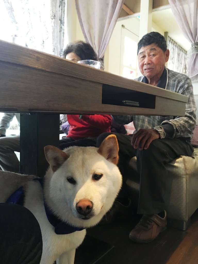 檔案_001.jpeg