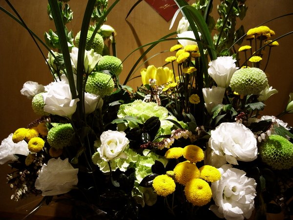 09春花