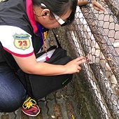 這應該是球球?