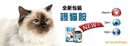 護貓胺2.jpg