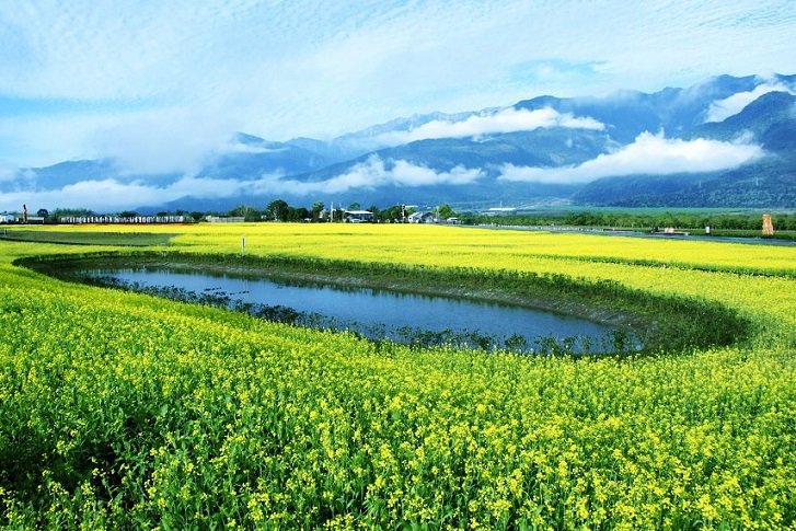 花蓮大富