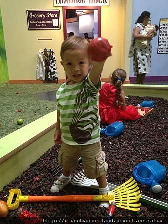 IMG_9133