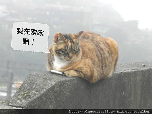 猴硐 75