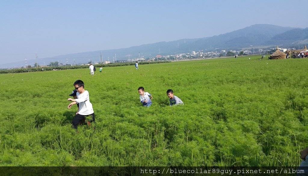 稻草人藝術節56