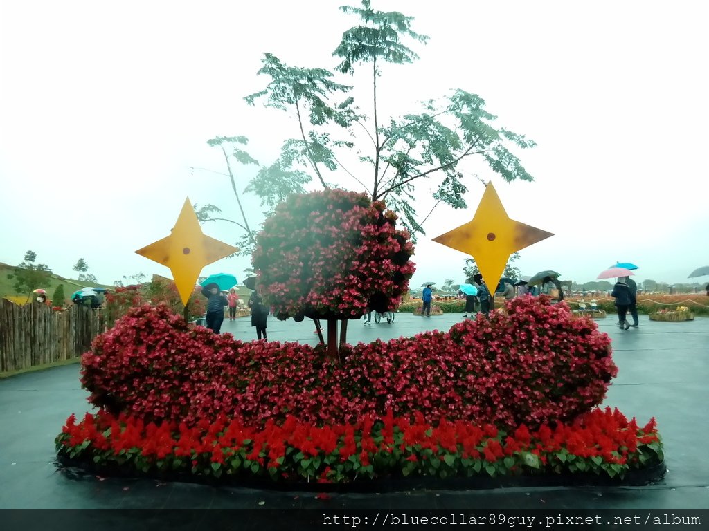 國際花毯節 19