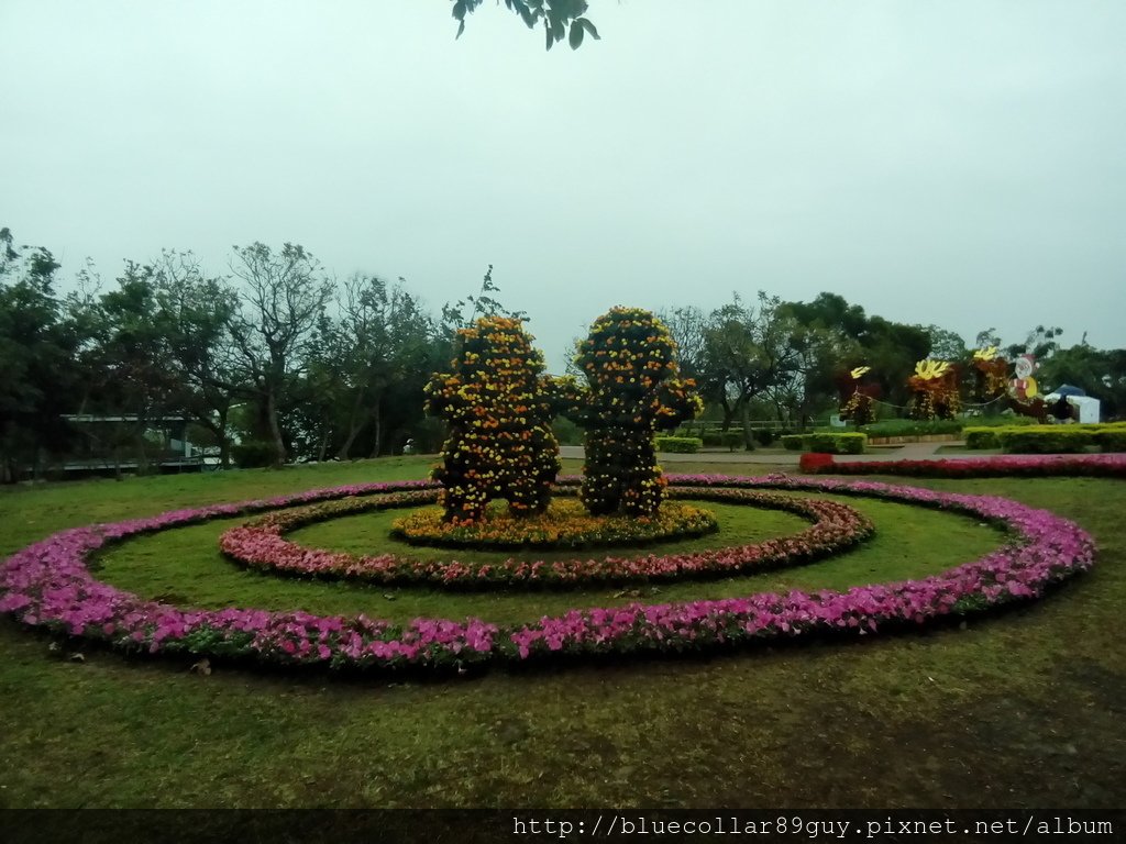 國際花毯節 78