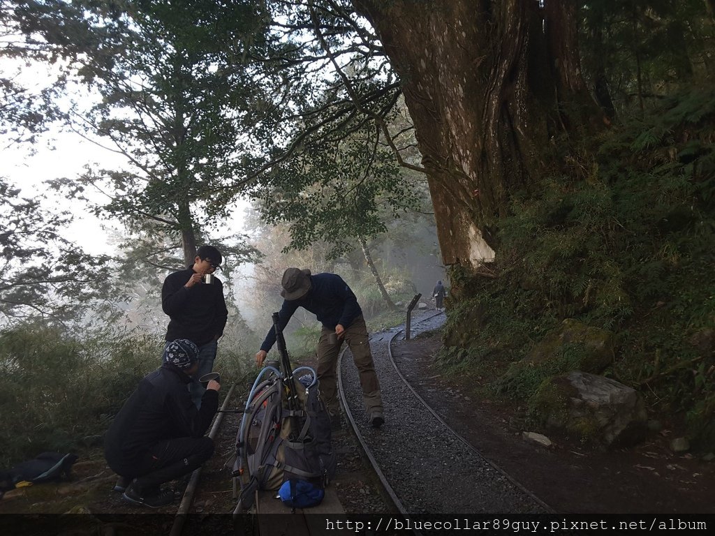 太平山 100