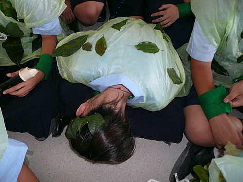 聽說這是指揮.jpg