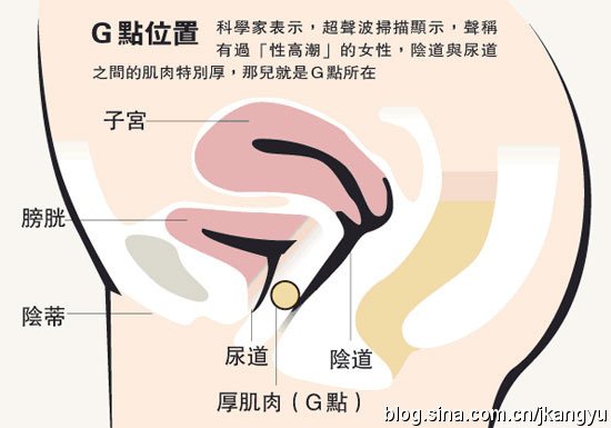 G點參考圖示