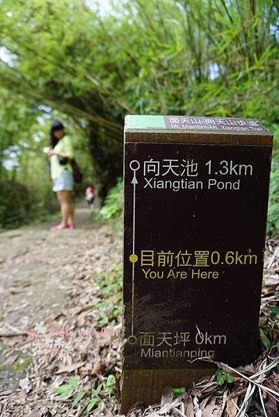 nEO_IMG_DSC01704
