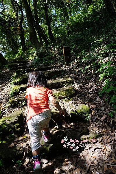 nEO_IMG_DSC01714
