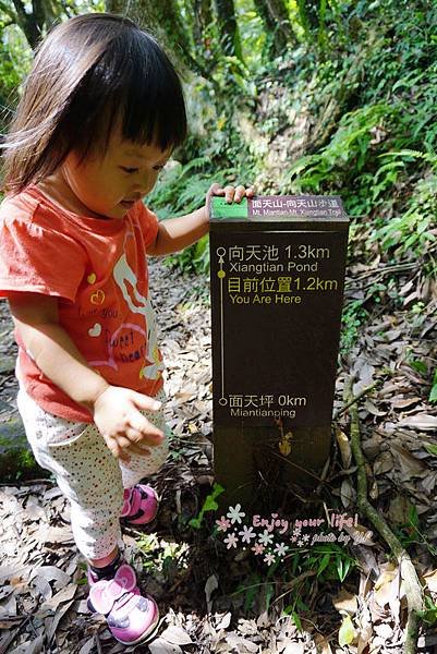 nEO_IMG_DSC01721