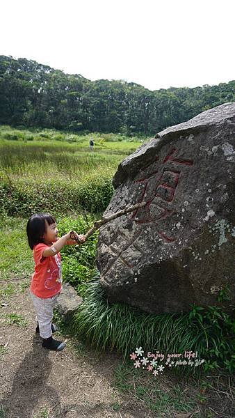nEO_IMG_DSC01741