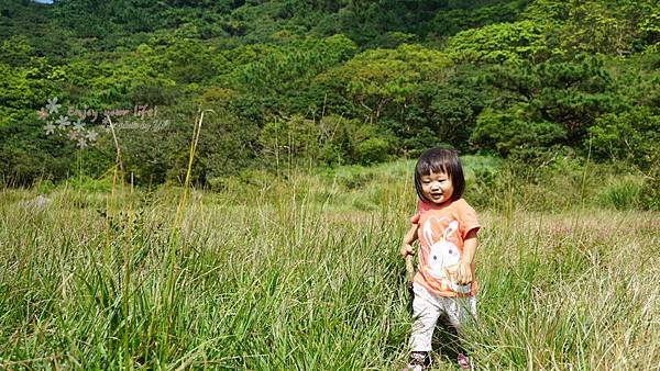 nEO_IMG_DSC01747