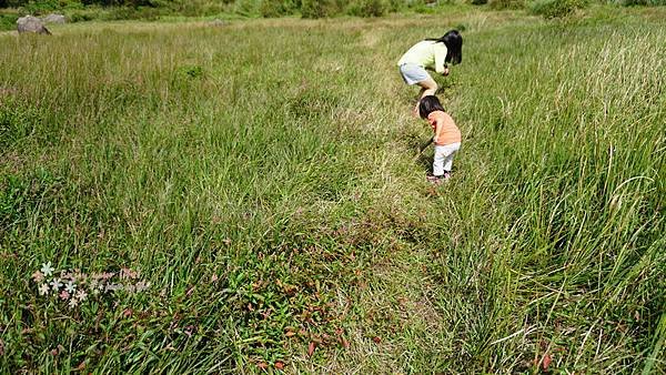 nEO_IMG_DSC01758
