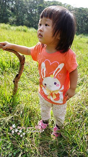 nEO_IMG_DSC01761