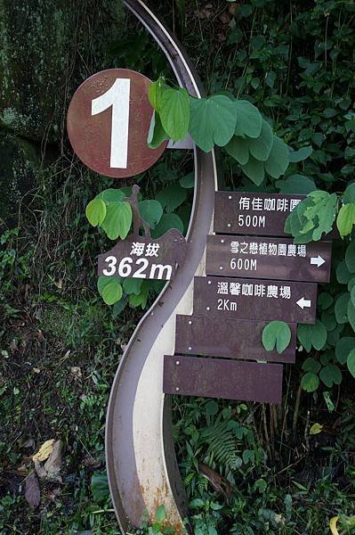 DSC01244