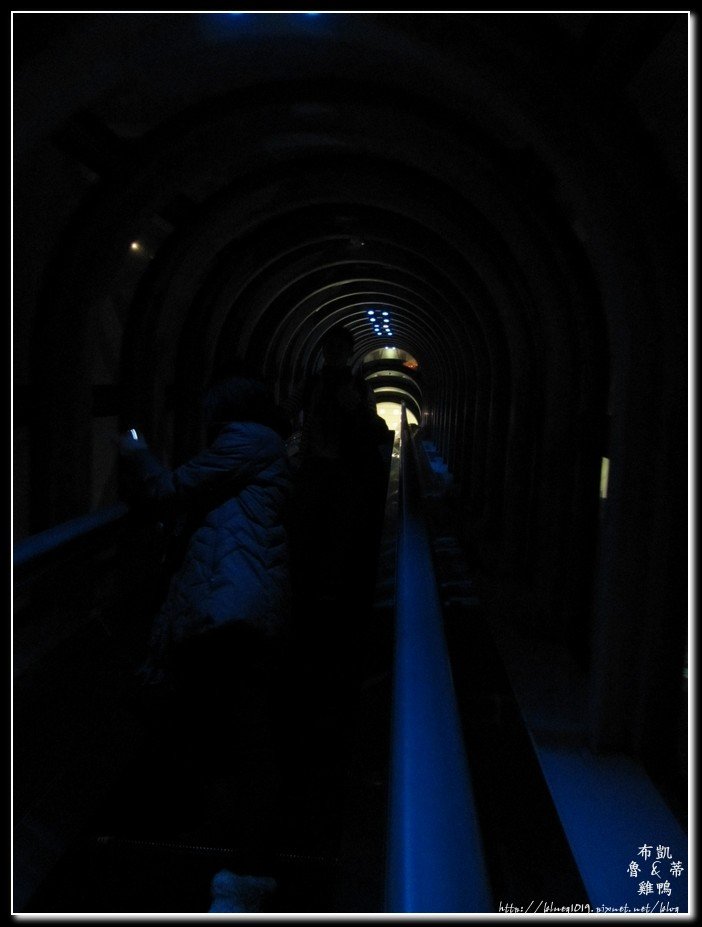 tn_IMG_9654.jpg