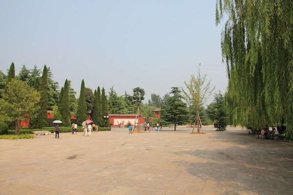 IMG_8204.JPG