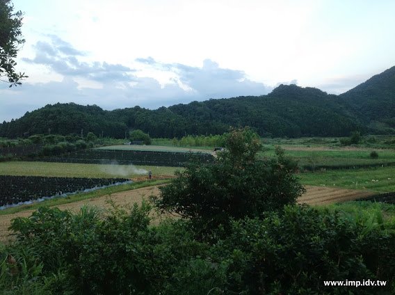 宜蘭 野夫炊煙