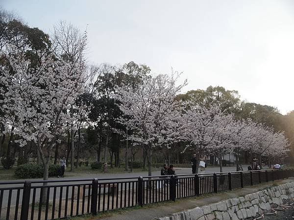 2014日本行