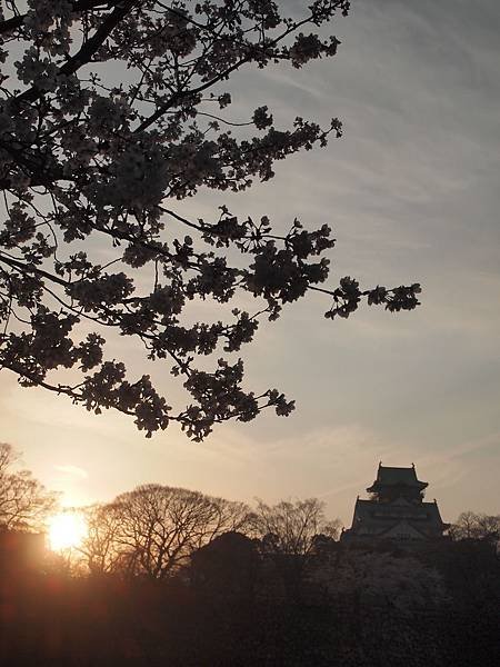 2014日本行
