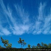 20130220 樹梯之旅8