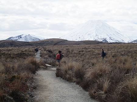 palmerston north 037.jpg