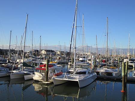 holiday 439.jpg