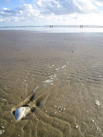 IMG_4468