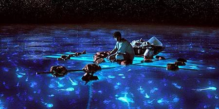 Life-of-Pi-Bioluminescent-Water