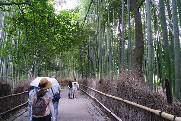 arashiyama68.jpg