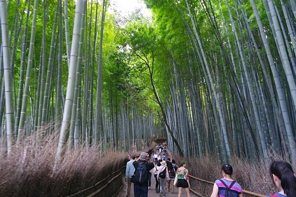 arashiyama78.jpg