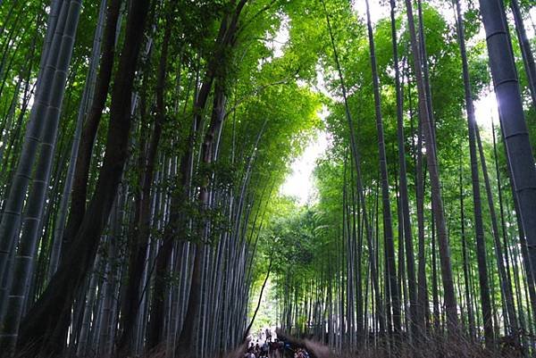 arashiyama89.jpg