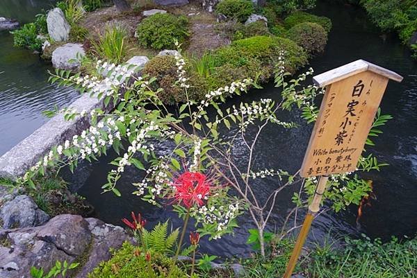 arashiyama115.jpg