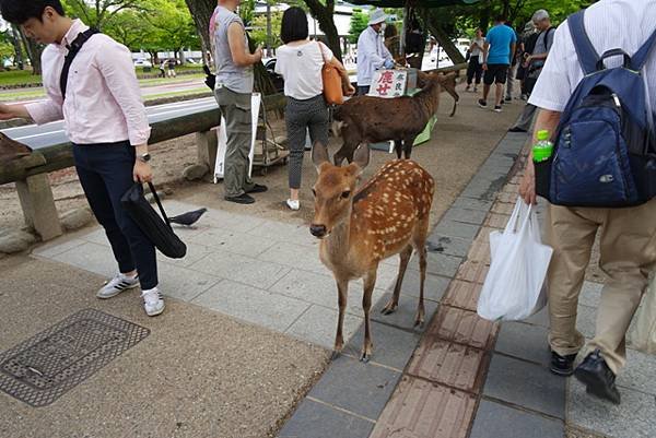 NARA27.jpg