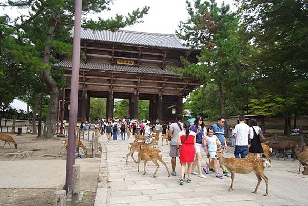 NARA39.jpg