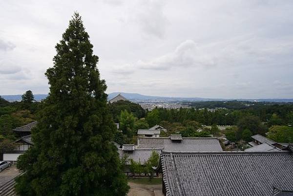 NARA73.jpg