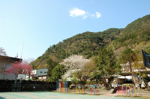 DSC_1698.jpg