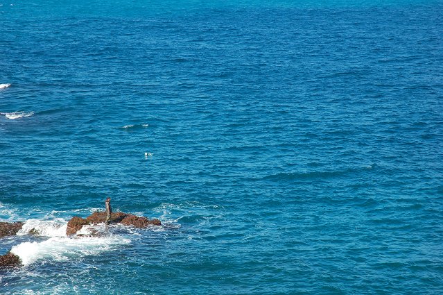 DSC_9673.jpg