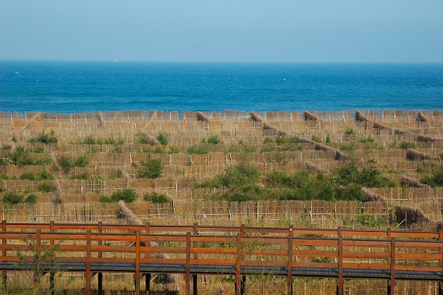 DSC_9686.jpg