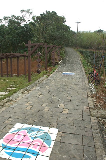 DSC_9731.jpg
