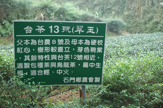 DSC_9746.jpg