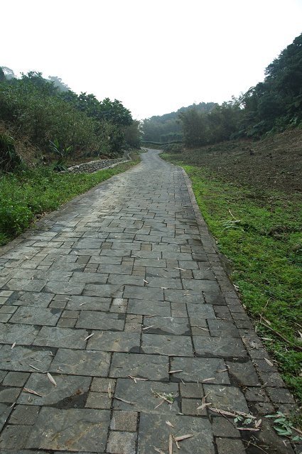 DSC_9750.jpg