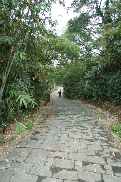 DSC_9751.jpg