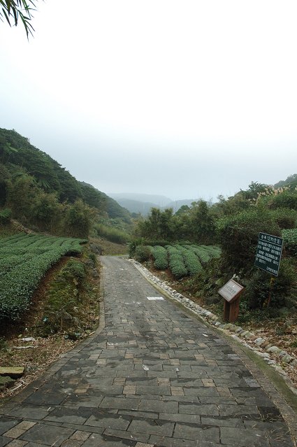 DSC_9752.jpg