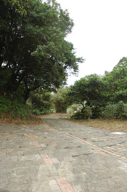DSC_9757.jpg