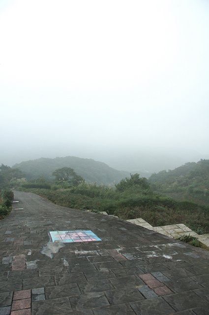 DSC_9765.jpg
