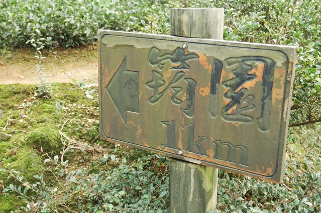 DSC_9771.jpg