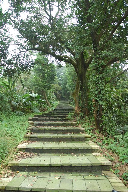 DSC_9786.jpg